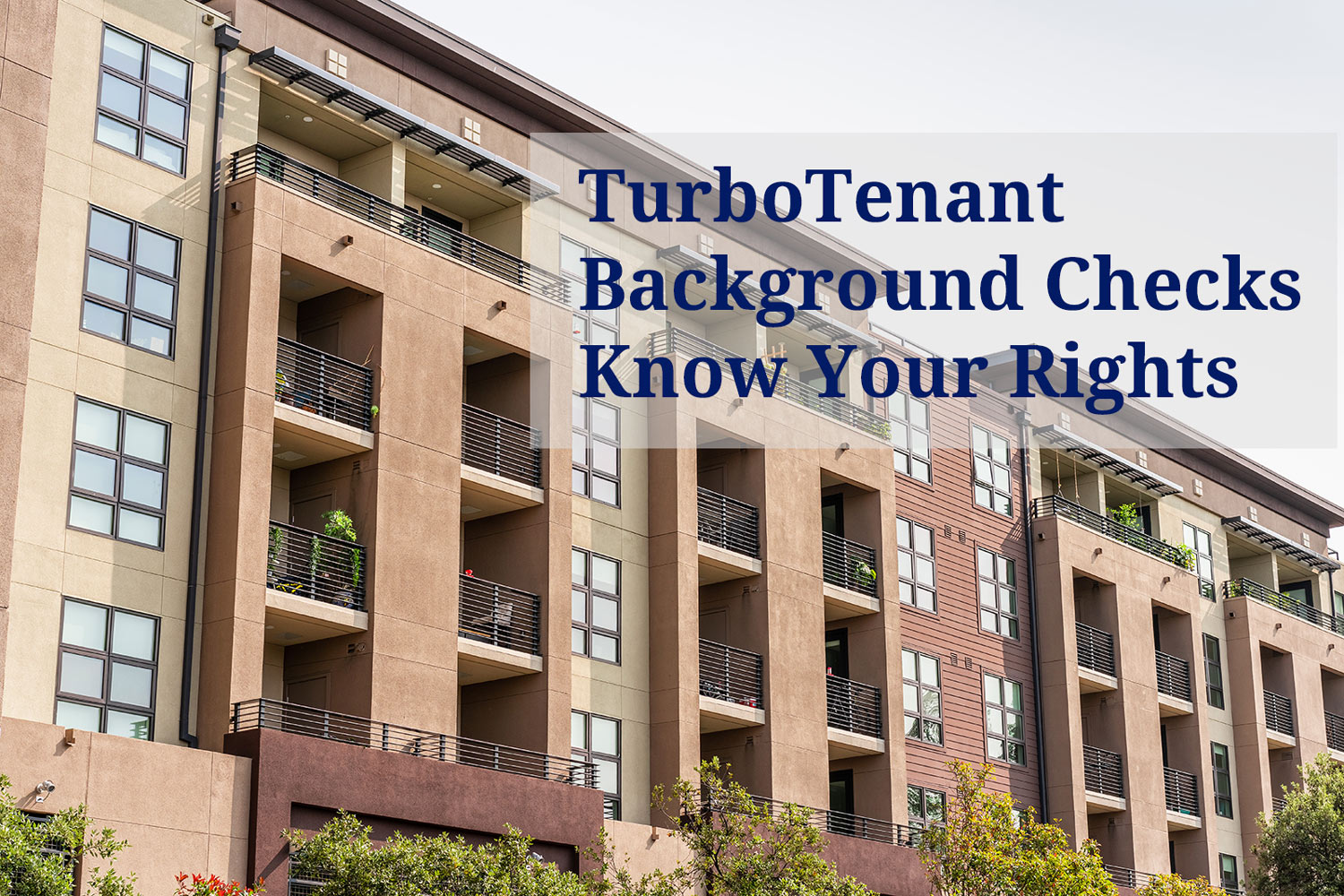 TurboTenant Background Checks and Renter's Rights